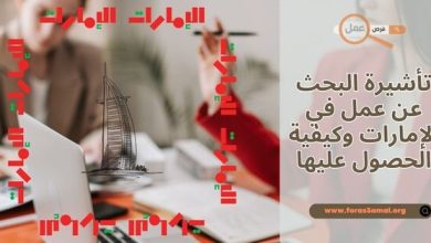 اجراءات تأشيرة البحث عن عمل في الإمارات 2025 وكيفية الحصول عليها