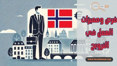 ما هي إجراءات، فرص ومميزات العمل في النرويج 2025